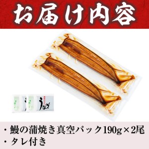 【数量限定】うなぎの大楠＜超特大＞2尾セット計380g以上(190g×2) a7-002