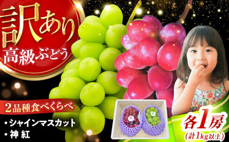 【2026年8月初旬頃から順次発送】【訳あり】ぶどう 食べ比べ シャインマスカット 神紅 各1房 詰め合わせ セット[AIAA005]