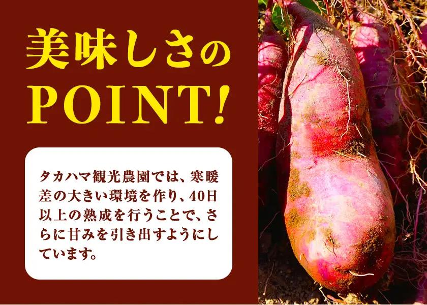 【先行予約】タカハマ観光農園 の 紅はるか 約3kg Sサイズ