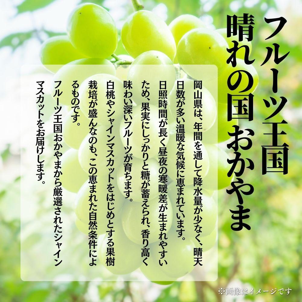 【2026年発送分 先行予約】【梅村ファーム】朝摘み直送 瀬戸ジャイアンツ（2房入り 1.1kg以上）【030-a018】