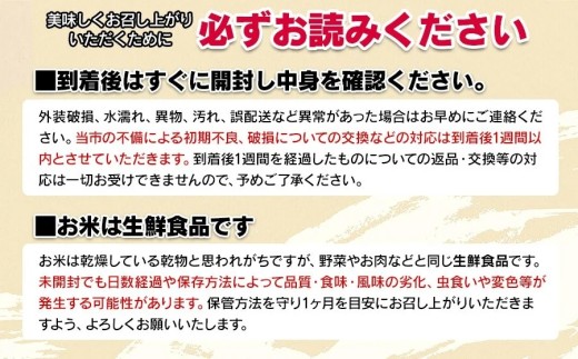 【令和8年産 新米】【定期便3ヵ月】斎藤農場の特別栽培米 はえぬき 無洗米 5kg(5kg×1袋)×3ヶ月 山形県鶴岡市 K-837 | 米 こめ コメ はえぬき ブランド米 庄内米 ごはん ご飯 美