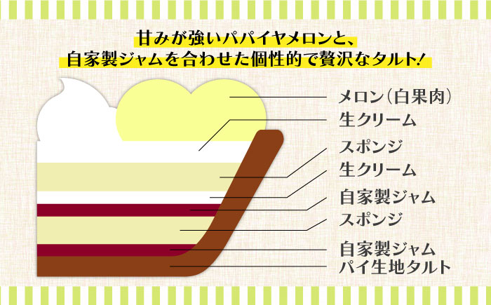 【サクサク生地】南島原産パパイヤメロンのタルト / タルト メロン めろん 18cm / 南島原市 / アトリエジジ [SAA026]