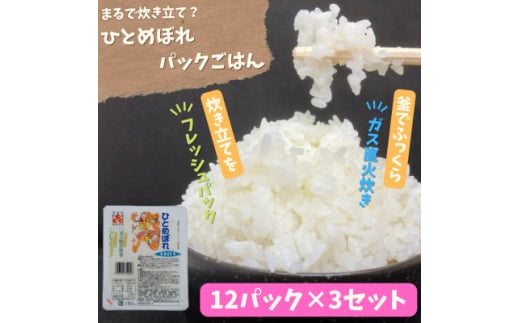 ＜パックご飯＞炊きたてをフレッシュパック　ひとめぼれ12個入　3セット【1355776】