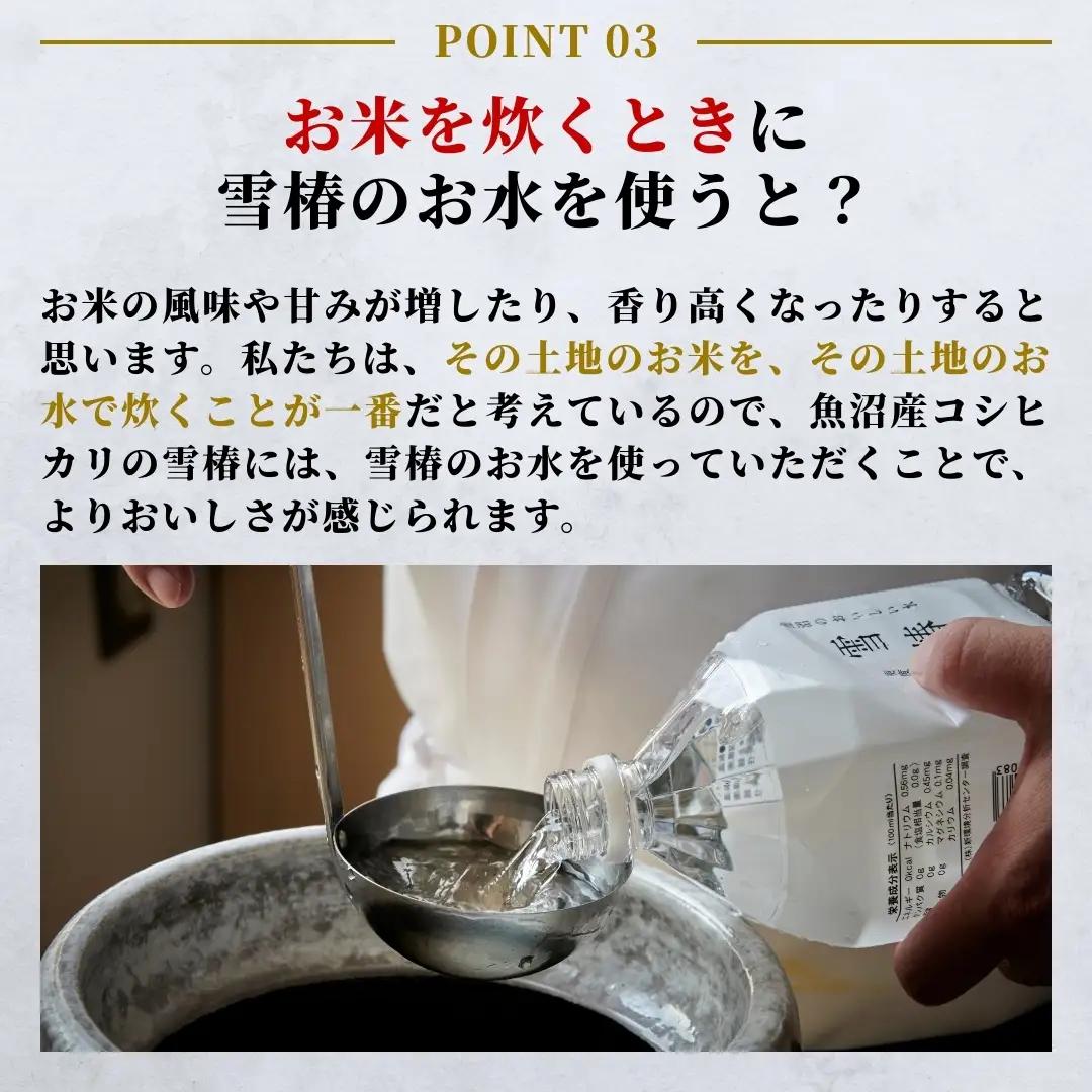 天然水 雪椿 2L×6本|津南町 天然水