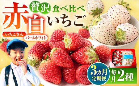 【先行予約】【3回定期便】食べ比べ！いちごさん＆パールホワイト定期便 各220g/回 / いちご [IBG013]
