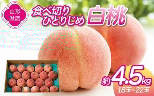 
            《先行予約 2025年度発送》食べ切りひとりじめ 白桃 4.5kg（18～22玉）  もも モモ 桃 デザート フルーツ 果物 くだもの 果実 食品 山形県 FSY-1287
          