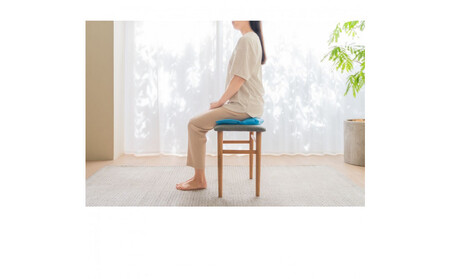 整体師監修 骨盤 クッション スイッチャー (腰ケア 骨盤ケア 腰サポート オフィスチェア） ｜ 健康 器具 整体 矯正