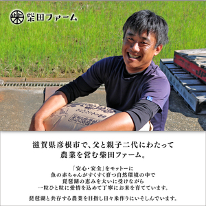 【令和7年産】減農薬米 近江米 みずかがみ 白米 5kg ［shiba07] 白米