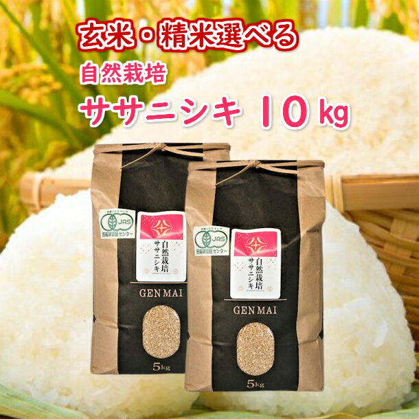 【ふるさと納税】《 新米先行予約 》令和7年産 新米 自然栽培米 ササニシキ 10kg 選べる 玄米 精米 お米 ご飯 米 岩手県 一関市