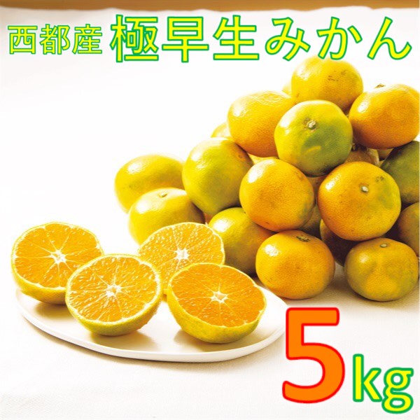 【ふるさと納税】西都市産「みかん」5kg　宮崎県 露地栽培 早生 極早生 送料無料＜1-219＞