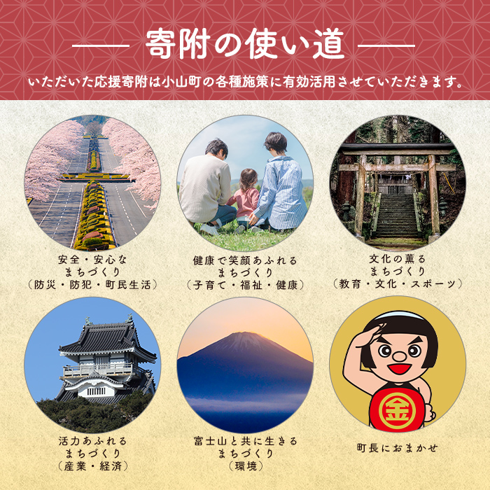 【返礼品なし】静岡県 小山町 への 応援寄附 1千円 ｜ 富士山頂 のあるまち 静岡県 小山町