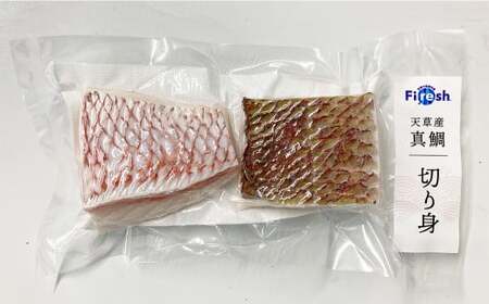 ＜ R8年熊本地震復興支援 ＞真鯛の切り身 6パック 計600g【fireshR】 魚 白身 切身