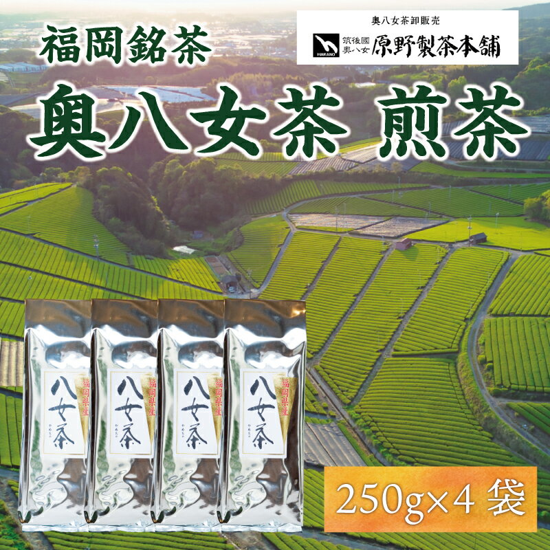 【ふるさと納税】八女茶 1kg(250g×4袋) [a9346] 有限会社原野製茶本舗 【返礼品】添田町 ふるさと納税
