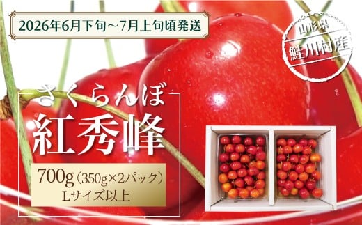 
                  【令和8年産】 鮭川村産さくらんぼ ＜紅秀峰＞ Lサイズ以上バラ詰め 700g（350g×2P）
                