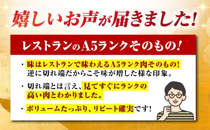 【いろいろな部位を楽しめて、食べごたえ抜群！】佐賀牛 はしっこちゃん＜ロース カルビ＞ 500g 