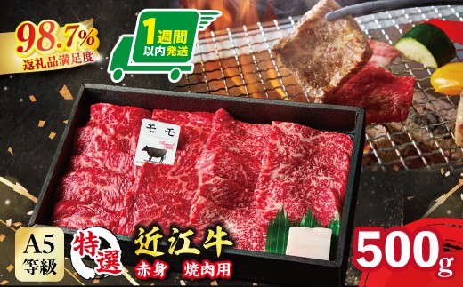
                  A5等級未経産雌牛　特撰近江牛 赤身 焼肉 500g 折箱入り ギフト【FO40W】
                