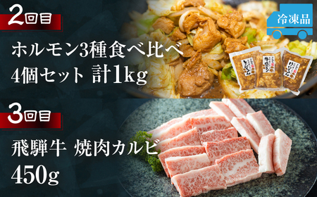 焼肉 定期便 3回 お届け 白川郷 飛騨牛 ホルモン 牛 鶏 豚 とんちゃん けいちゃん もも カルビ 赤身 霜降り 食べ比べ 肉 牛肉 国産 A4 A5 てんから 岐阜県 白川村 キャンプ 贅沢 B