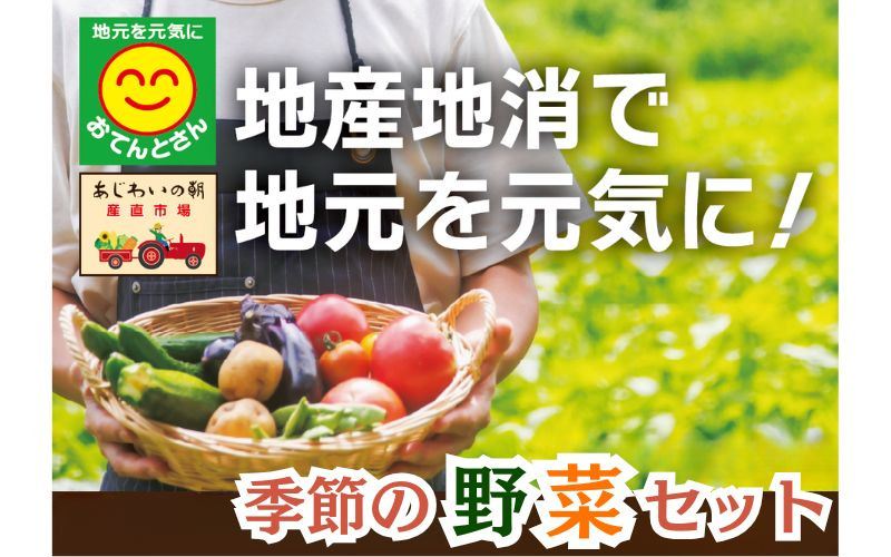旬の野菜詰合せセット 選べる容量！／旬 野菜 詰め合わせ 国産 宮城産 熊本 涌谷町 送料無料