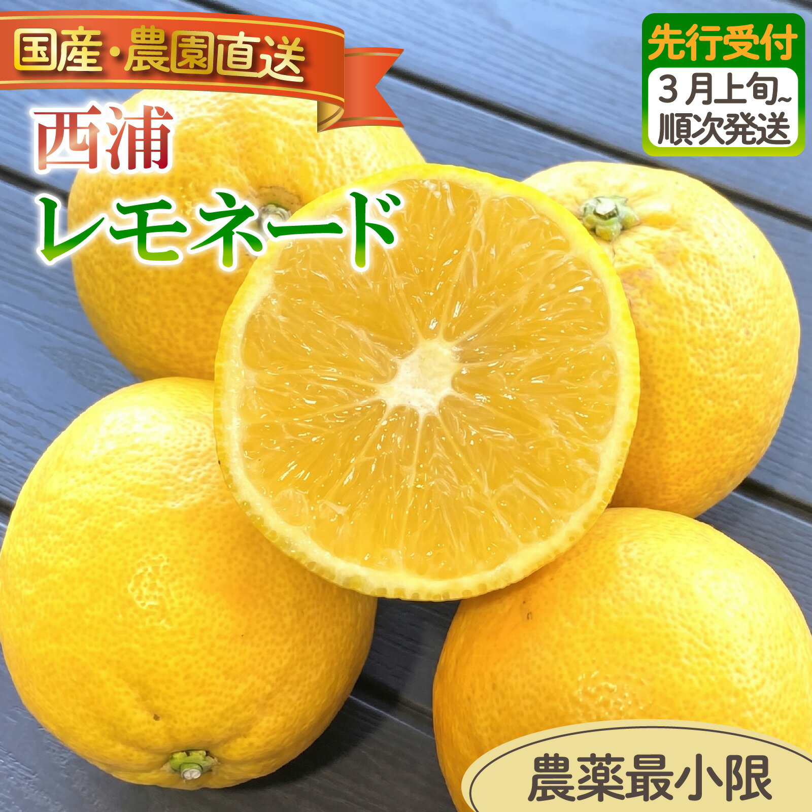 【ふるさと納税】 訳あり 西浦 レモネード 3kg 5kg 選べる容量 ｜ 木負観光みかん園 レモン 檸檬 柑橘 フルーツ 旬 果物 国産 産地直送 季節限定 西浦 沼津市 静岡県