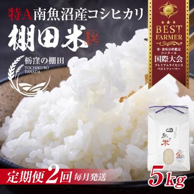 ふるさと納税 南魚沼市 【毎月定期便】【産地限定 棚田米】 新潟県 南魚沼産 コシヒカリ 5kg 精米 日熊の米 棚田全2回