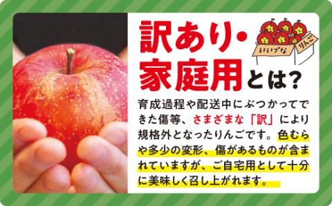 りんご サンふじ ( スマートフレッシュ 加工 ) 家庭用 5kg 神谷農園 沖縄配送不可 2024年3月上旬頃?2024年5月上旬頃まで順次発送予定 令和5年度収穫分 長野県 飯綱町 [1296]