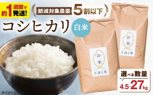 【スピード発送】【令和7年産】米 湖北産 コシヒカリ 9kg(白米)  選べる容量 長浜市/株式会社エース物産[AQAK004] 米 お米 ご飯 ごはん ゴハン 近江米 滋賀県産 長浜市産 こめ 玄米 白米 精米 お米  食品 ふるさと納税 国産 炊きたて 米ギフト もちもち ブランド米  食卓 美味しい 産地直送 節約 人気 おにぎり 炊き込みご飯 おすすめ プレゼント 贈答