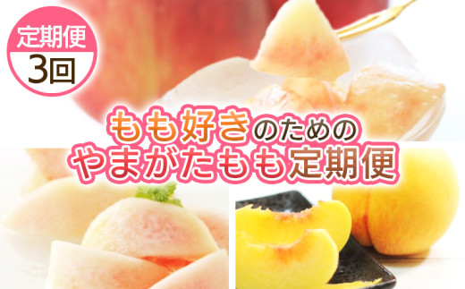 【定期便3回】もも好きのためのやまがたもも定期便 FY25-040