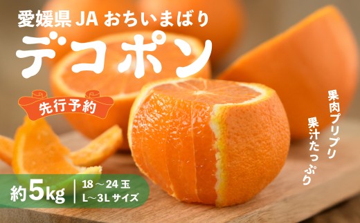 ＜先行予約＞瀬戸内のデコポン 約5kg 3L～L　18玉～24玉 | でこぽん 国産 大きい みかん フルーツ 愛媛県産 愛媛県 今治 柑橘類 甘い デコポン サイズ 甘いミカン JA デコポン 果物 JA選果品 上島・今治産