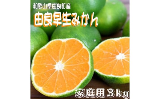 ▼和歌山由良町産 由良早生みかん 約3kg 訳あり キズ 御家庭用 サイズ混合  【sml003-yura-c3】