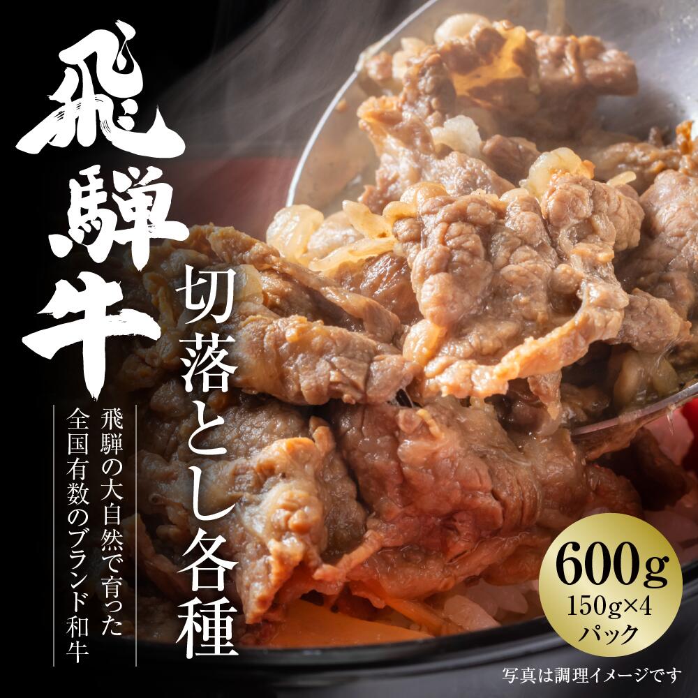 【ふるさと納税】飛騨牛 切落とし 600g（約150g×4パック） 冷凍真空パック | 肉 お肉 すき焼き すきやき しゃぶしゃぶ 黒毛和牛 和牛 個包装 小分け 牛肉 ギフト お取り寄せ [S831]