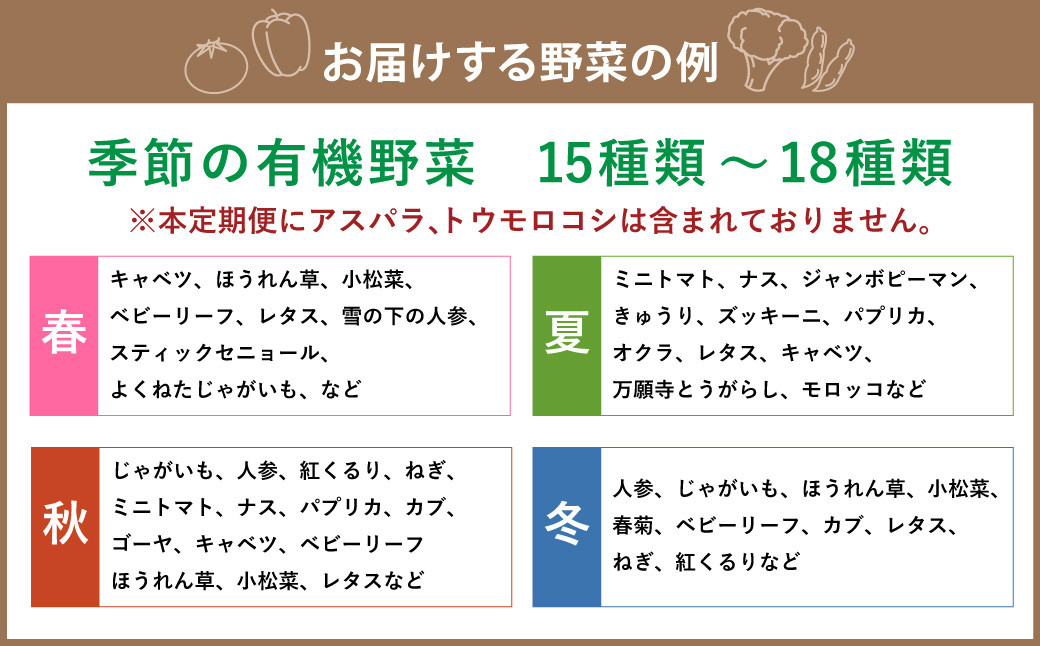 【有機JAS認定】【5ヶ月定期便】 季節の野菜詰め合わせ ～有機野菜セットB～