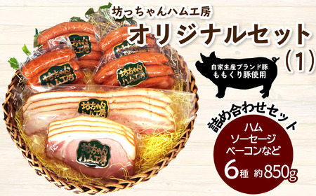 坊っちゃんハム工房オリジナルセット（1）6種約850g｜ ポーク ウインナー 自家製 ハム ベーコン