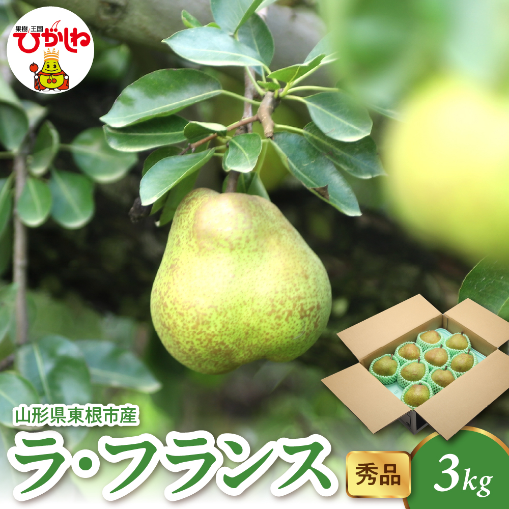 【2026年産】 ラ・フランス 3kg（6-13玉） 秀品 山形県 東根市 千笑花夢提供 hi082-021-r8 3kg（6-13玉）