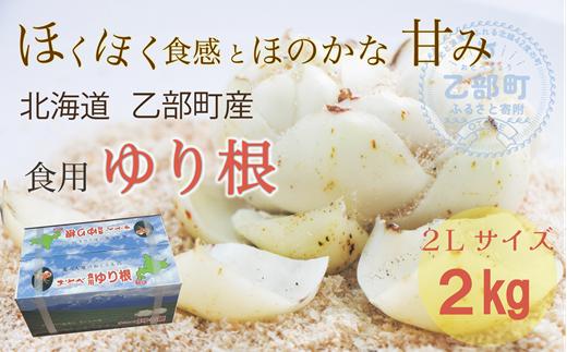 
            ＜乙部町特産　ゆり根＞しっとり上品な味わいの栄養満点な冬の味覚
          