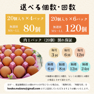 【 １２回定期便 】 卵 960個 80個×12回 無選別 MS～LL 京の贈り物 20個×4パック×12ヶ月 毎月お届け 割れ保証1パック（20個） 大容量 玉子焼き ゆで卵 生食 卵かけご飯 目玉