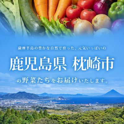 ふるさと納税 枕崎市 【発送月固定定期便】枕崎の野菜!!定番・旬の野菜お任せセット(5・11・2月)DD0-0008全3回 |  | 03