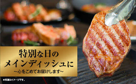 しまね和牛 希少 最高峰 シャトーブリアン 400g（200g×2枚）／ ヒレ肉 和牛シャトーブリアン ブランド肉 シャトーブリアンのステーキ 国産シャトーブリアン