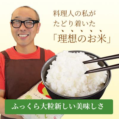 ふるさと納税 南陽市 〈令和7年産〉 山形県産【雪若丸】精米 10kg(5kg×2袋)【S2567】 |  | 01