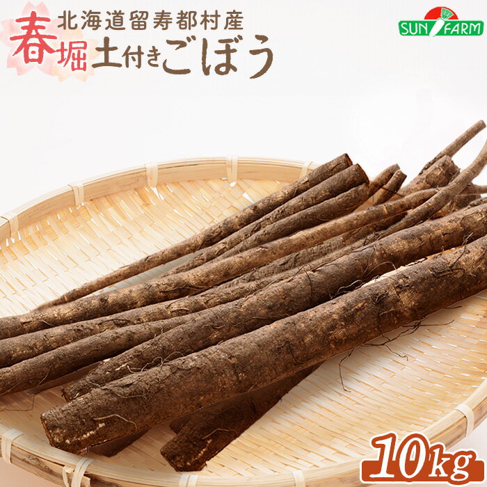 【ふるさと納税】ごぼう 10kg ゴボウ オンライン 申請 ふるさと納税 北海道 留寿都 野菜 根菜 産地直送 新鮮 採れたて サラダ きんぴら 炊き込みご飯 かき揚げ 唐揚げ 惣菜 美肌 10キロ 留寿都村【24008】