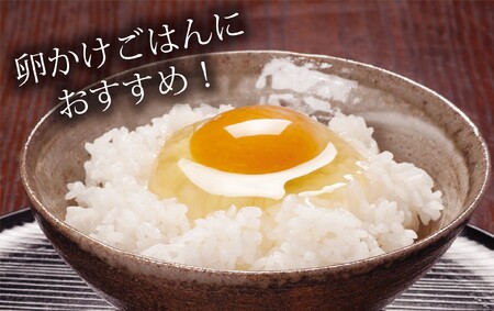 たまご好きが唸る！「都路のたまご」バラエティーパック※「みやこじ」30個（25個＋卵割れ補償5個）、「ランダム」30個（25個＋卵割れ補償5個） No.432