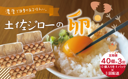 【定期便3回】濃厚でコクのある味わい！のびのび育った土佐ジローの自然卵40個（10個入り×4パック）【合計120個】卵 玉子 たまご 鶏卵 土佐ジロー 自然卵 新鮮 旨味 濃厚 コク 自慢 こだわり卵 高知 高知県 四万十市 産地直送 送料無料