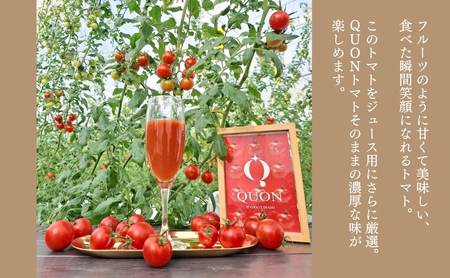 ミニトマト 「 QUONトマト 」3P ＆ トマトジュース 2本セット 化粧箱入[ QUON トマト 志づ華乃 高糖度 野菜 野菜ジュース ジュース プレゼント 小分け ]