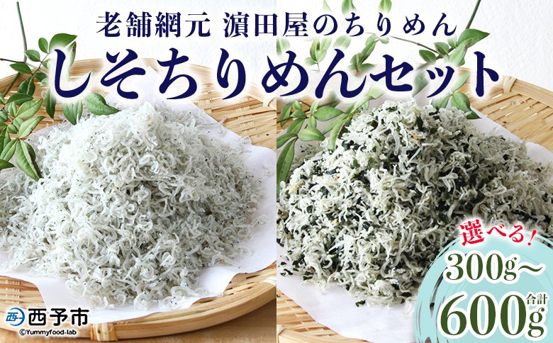 
                  ＜老舗網元 濵田屋のちりめん しそちりめんセット(合計300g/合計600g)＞かたくちいわし カタクチイワシ 小魚 のし対応可 お祝い ギフト 贈答 乾物 小分け 国産 マルヨシ水産 特産品 愛媛県 西予市【冷蔵】
                