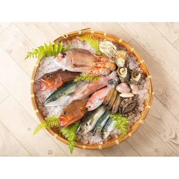 おけしょう鮮魚 季節の海の幸 詰め合わせセット 約2人前