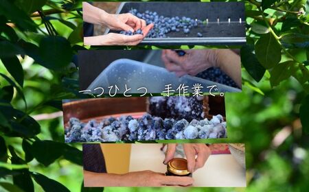 チルチルのジャム 150g×3個セット（赤いルバーブ・ブルーベリー・カシス） | ジャム