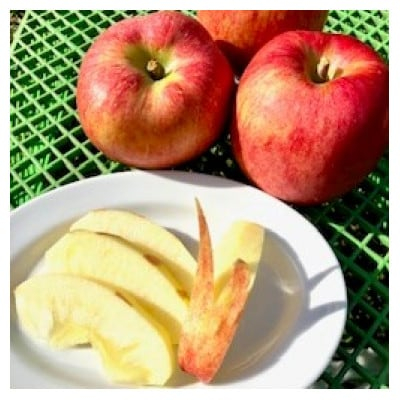 
                  岩手県岩泉町産りんご(3キロ:約6個)希少品種!「大夢(おおゆめ)」岩手沿岸地域のみで育てる新品種　【1444488】
                