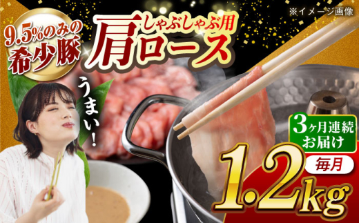 【月1回約1.2kg×3回定期便】大西海SPF豚 肩ロース（しゃぶしゃぶ用）計約3.6kg 長崎県/長崎県農協直販 [42ZZAA061]