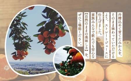 みかんジュース（180ml×10本） ｜果汁100% ストレート みかんジュース 秦野市