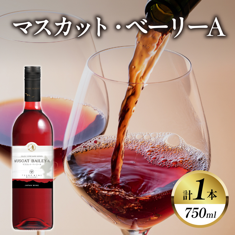 マスカット・ベーリーA (計1本) _T014-0245【酒 飲料 アルコール 国産 人気 ギフト 飲料 食品 お酒 お土産 贈り物 送料無料 プレゼント】