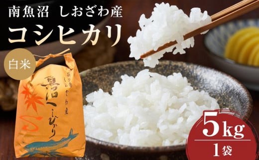 【令和６年度産  新米予約】《語り伝えられる地》南魚沼しおざわ産コシヒカリ５Ｋｇ（白米）